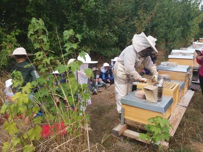 Grüner Ferienspaß 2022: Hühner und Bienen